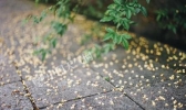 浙江启动暴雨三级应急响应 宁波温州等将有大暴雨