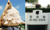 三亚亚龙湾贝壳馆游玩攻略