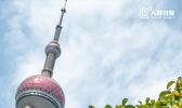 南方多地桂花开放