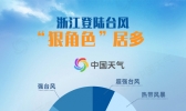 大数据揭秘浙江台风：“狠角色”居多 8月最“招风”
