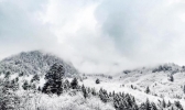 美咯！九寨沟迎来入冬第一场雪 晶莹剔透美如仙境