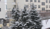 山东烟台威海元宵节飘雪