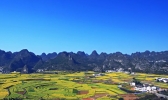 2019年贵州兴义油菜花几月开 兴义万峰林菜花开了吗