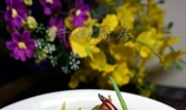 辣版酸菜鱼的做法