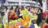 昆明市斗南鲜切花热销
