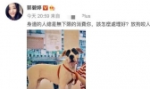 向太安慰郭碧婷是怎么回事 向太为什么安慰郭碧婷