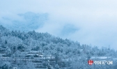 雪中的四川巴中南阳森林公园宛如童话世界