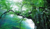 大熊山国家森林公园游玩攻略