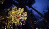 【吉林】今后三天降水渐少天气寒冷