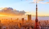 东京有哪些行政区域