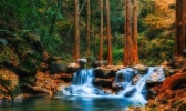 杭州西湖攻略线路（西湖秋景）
