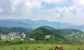 郴州有哪些景点