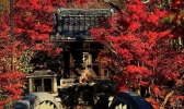 京都赏枫叶最佳地点 京都赏枫叶的寺庙推荐