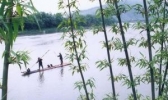 “冬梅雨”的简介 你恐怕没了解过吧