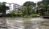 广东多地出现大到暴雨 强降雨提前“闹”元宵