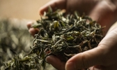 过期的茶叶能喝吗 茶叶保质期一般多久