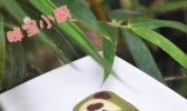 熊猫饼干的做法