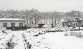 【甘肃】正宁积极应对今冬首场降雪天气过程