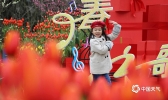重庆南山郁金香绚丽绽放迎新春