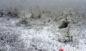 延庆房山门头沟山区飘雪 北京初雪还需等待