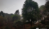 【湖南】今明天湖南大部为阴雨天气 收晒晚稻需避开降雨时段