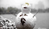 雪花片片随风舞 西安大明宫国家遗址公园雪景迷人