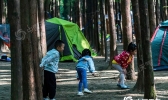 近日重庆持续晴热高温天气市民周末森林避暑忙