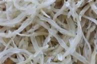 骆马湖银鱼
