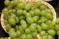 大圩葡萄