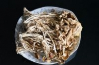中华神菇-- 茶树菇