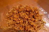 广昌茶薪菇