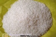 富顺再生稻